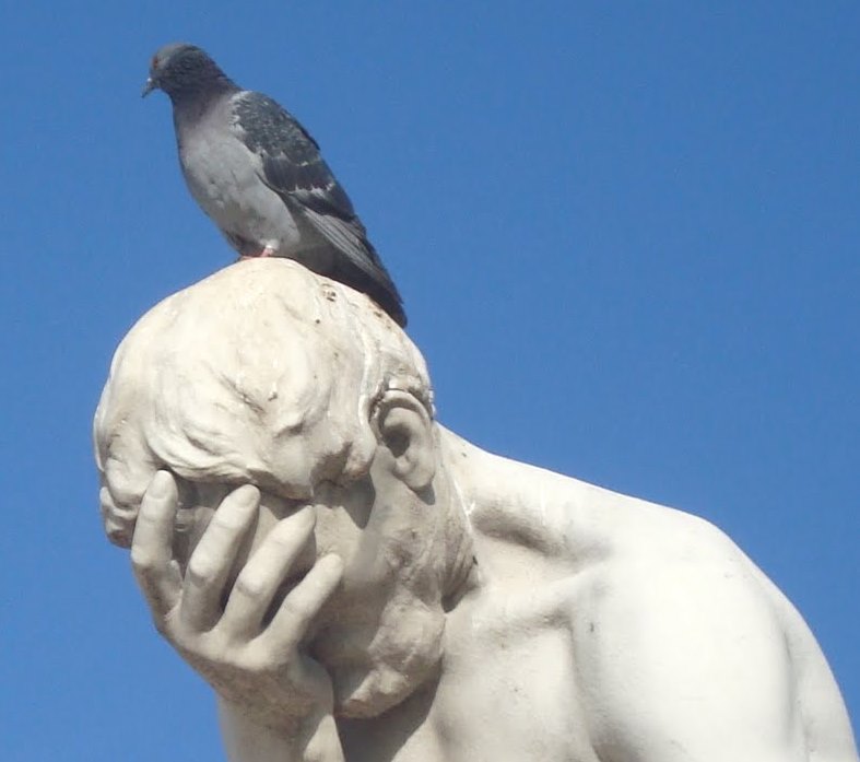 Some Days We’re The Pigeon.  Some Days We’re the Statue