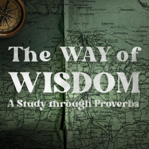 Wisdom Begins with Trust | The Way of Wisdom