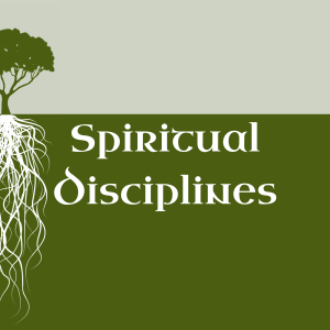 Habits of Grace | Spiritual Disciplines