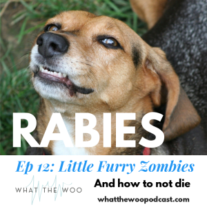 Episode 12: Little Furry Zombies and You