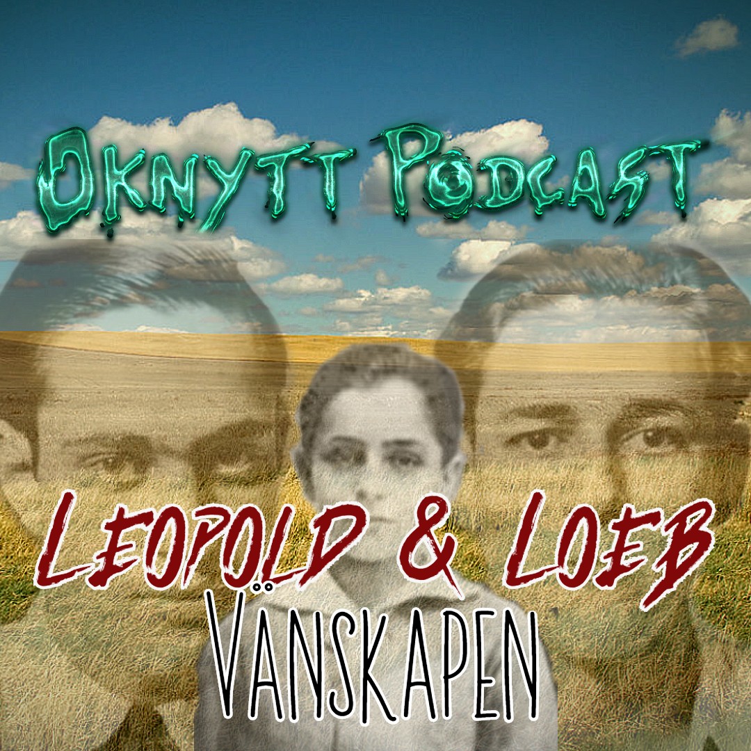Oknytt