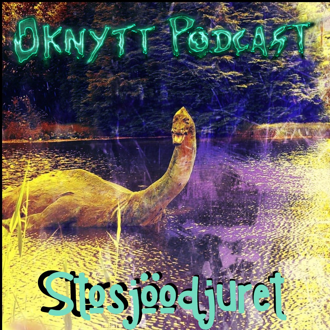 Oknytt