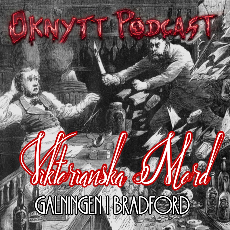 Oknytt