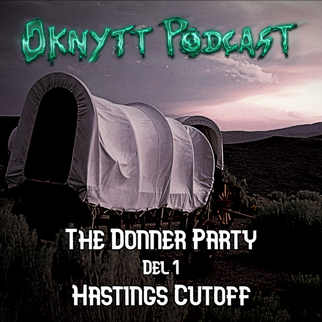 Oknytt