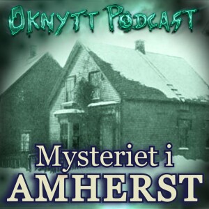 256. Mysteriet i Amherst