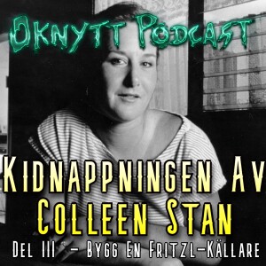 Kidnappningen av Colleen Stan Del III - Bygg En Fritzl-Källare