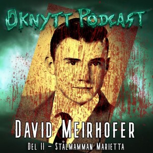 267. David Meirhofer Del II - Stålmamman Marietta