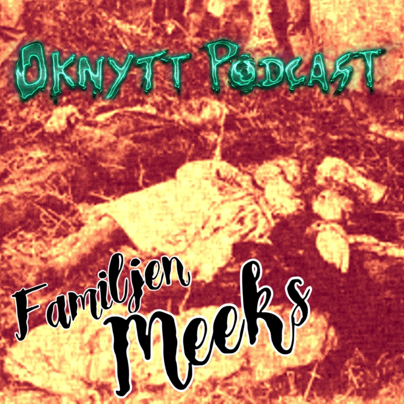 Oknytt
