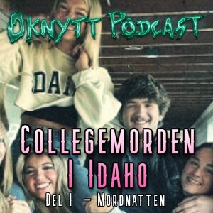 310. Collegemorden I Idaho Del I - Mordnatten