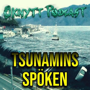 294. Tsunamins Spöken