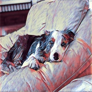 Episode Four - Your place in the family of things.