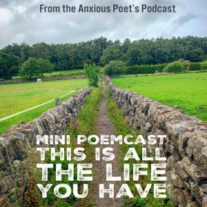 Mini Poemcast - This Is All The Life You Have