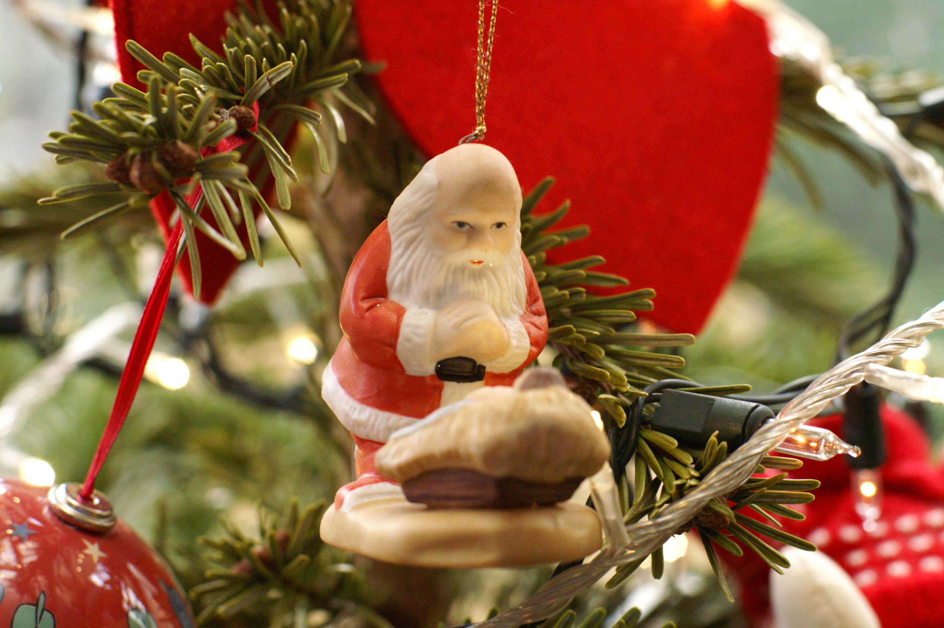 Episode Eleven - The Season of the Holly King