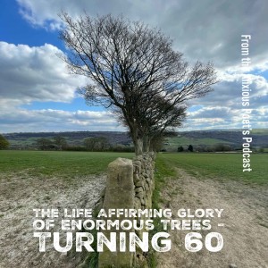 Episode18 The Life Affirming Glory Of Enormous Trees - Turning 60