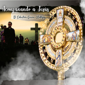 Acompañando a Jesús: La segunda multiplicación de los panes