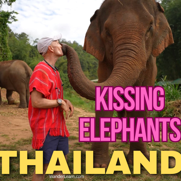 Meeting Elephants in Chiang Mai, Thailand