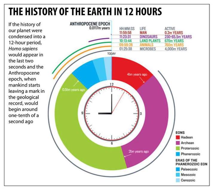 Earth's History in 1 Calendar Year