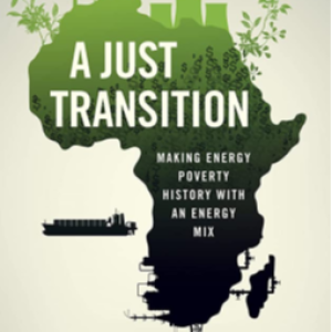 A Dangerous Book About African Energy