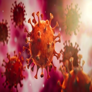 Episode 48: Coronavirus Correction: Where Does it Leave You?