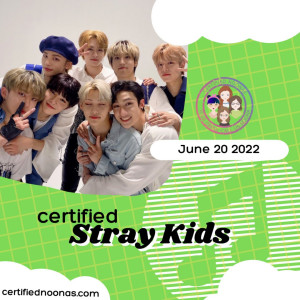 Certified Stray Kids