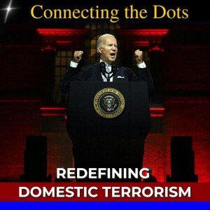 REDEFINING DOMESTIC TERRORISM