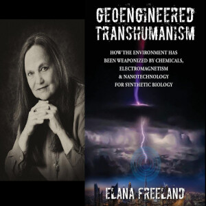 Transforming Humanity with Elana Freeland