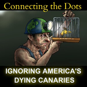 IGNORING AMERICA’S DYING CANARIES