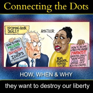 HOW, WHEN & WHY they want to destroy our liberty