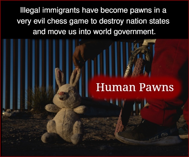 Human Pawns of Illegal Immigration