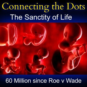 THE SANCTITY OF LIFE
