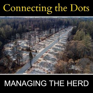 MANAGING THE HERD