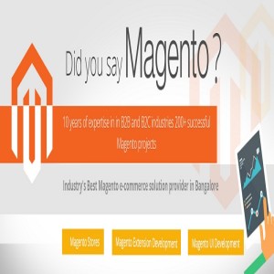 HOW POWERFUL IS MAGENTO PLATFORM FOR E-COMMERCE ?