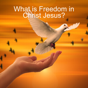 What is Freedom in Christ Jesus?