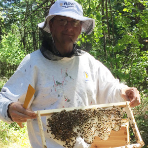 SPX2 Bees and Pollinators with guest Andony Melathopoulos