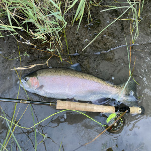 SPX28 To Catch a Steelhead (Audio Only)