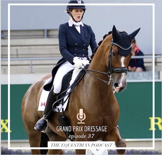 The Equestrian Podcast