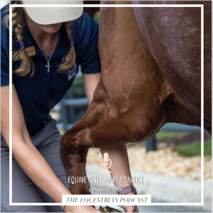 [EP 86] Equine Veterinary Practice with Dr. Marilyn Connor