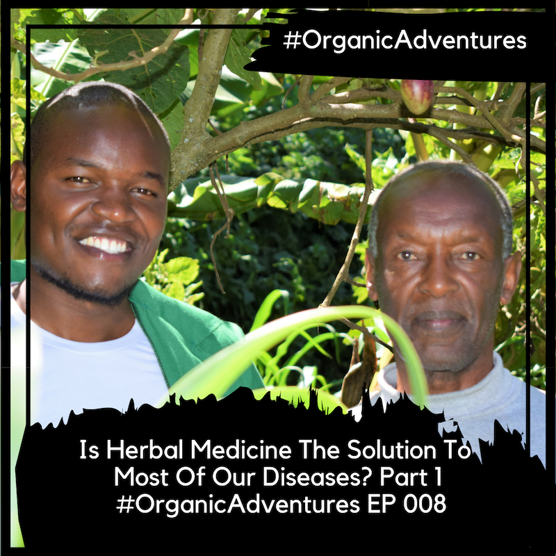 Is Herbal Medicine The Solution To Most Of Our Diseases? #OrganicAdventures EP 008 Part 1