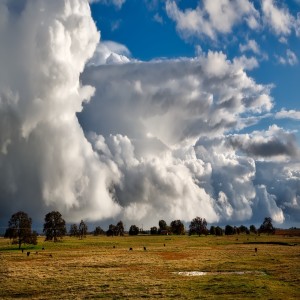 Needs of Rural Texans - Michelle in Bastrop County