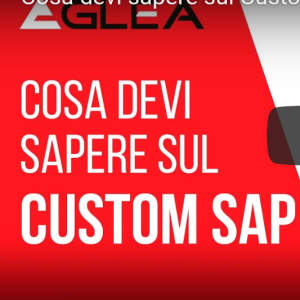 Cosa devi sapere sul custom in SAP?