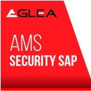 AMS SAP Security