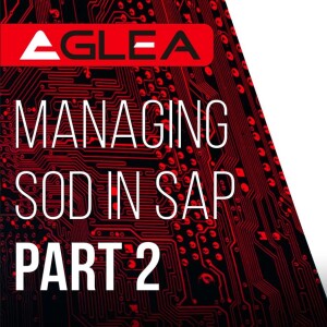 Managing SoD in SAP - PART 2
