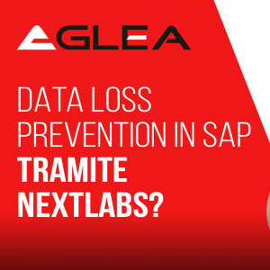Data Loss Prevention in SAP tramite Nextlabs