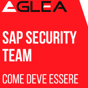 Come deve essere un SAP Security Team?