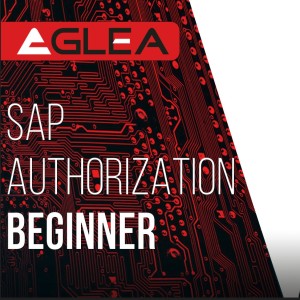 SAP Authorization Beginner