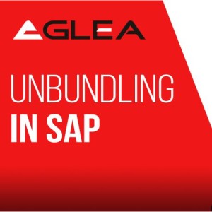 Unbundling in SAP