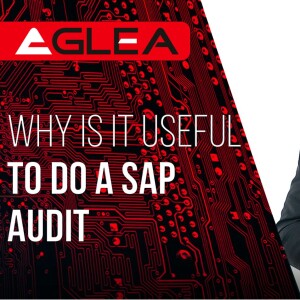 Why is it useful to do a SAP audit