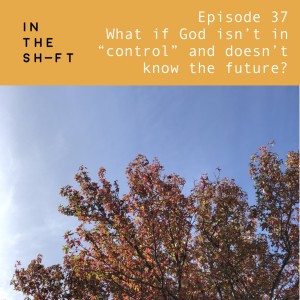 What if God isn't in "control" and doesn't know the future?