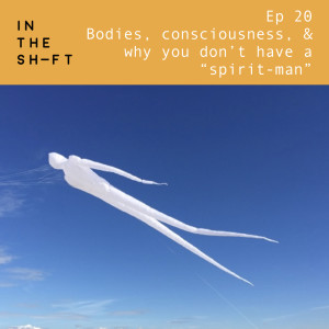 In the Flesh: Bodies, consciousness, and why you don't have a "spirit-man"