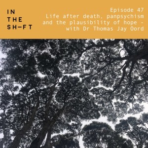 Life after death, panpsychism and the plausibility of hope - with Dr Thomas Jay Oord